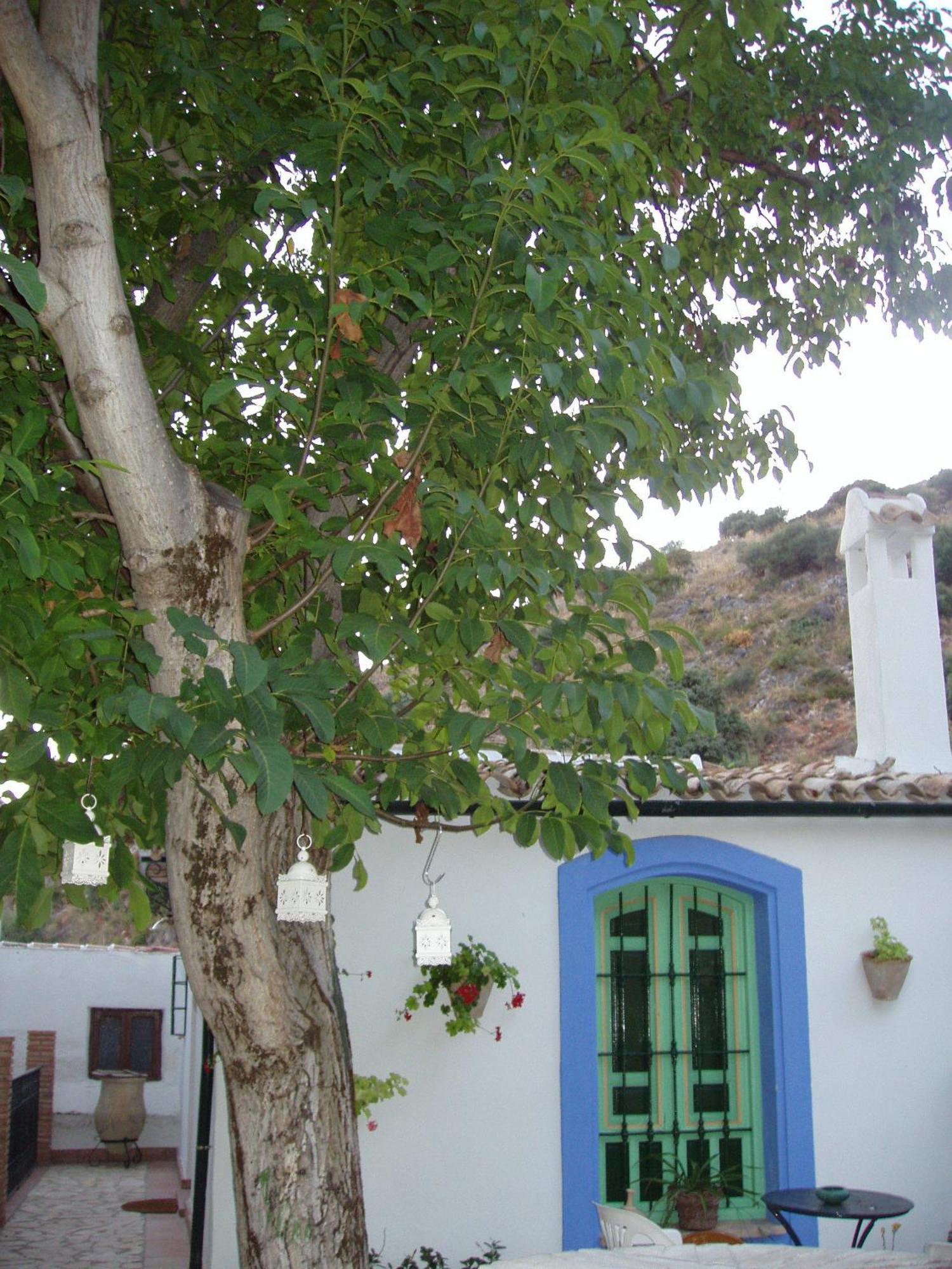 El Rincon De Carmen Guest House Руте Екстериор снимка