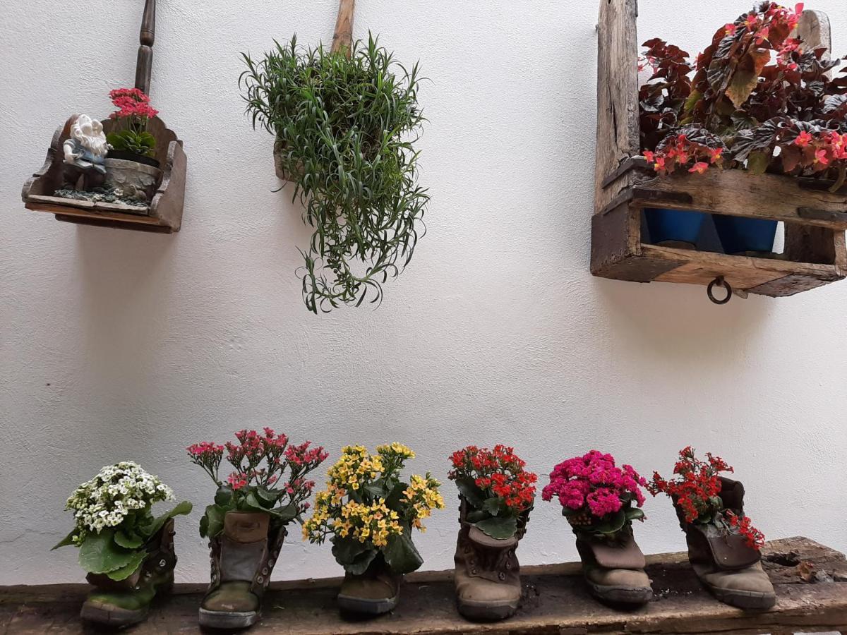 El Rincon De Carmen Guest House Руте Екстериор снимка